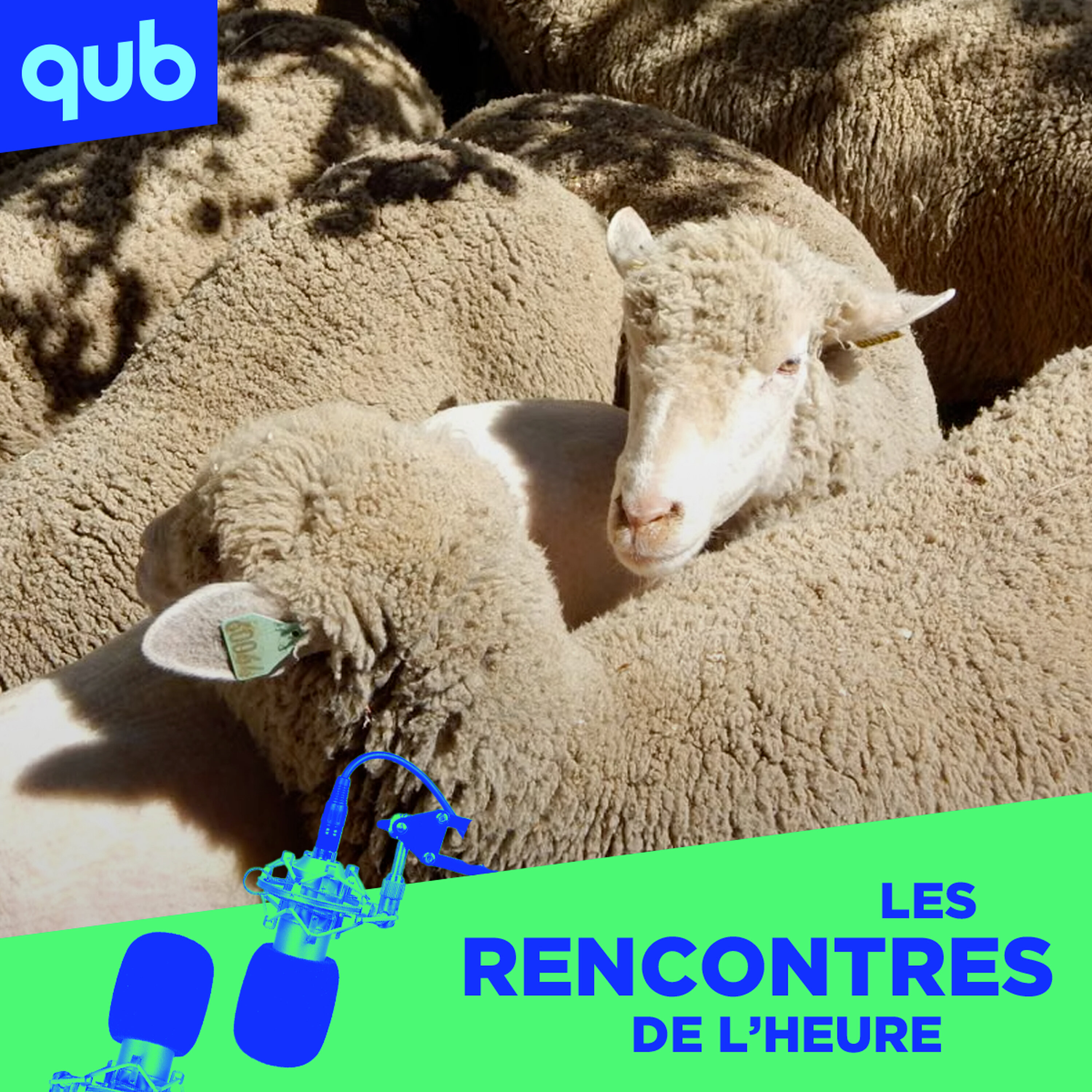 150 animaux CLONÉS aux États-Unis???