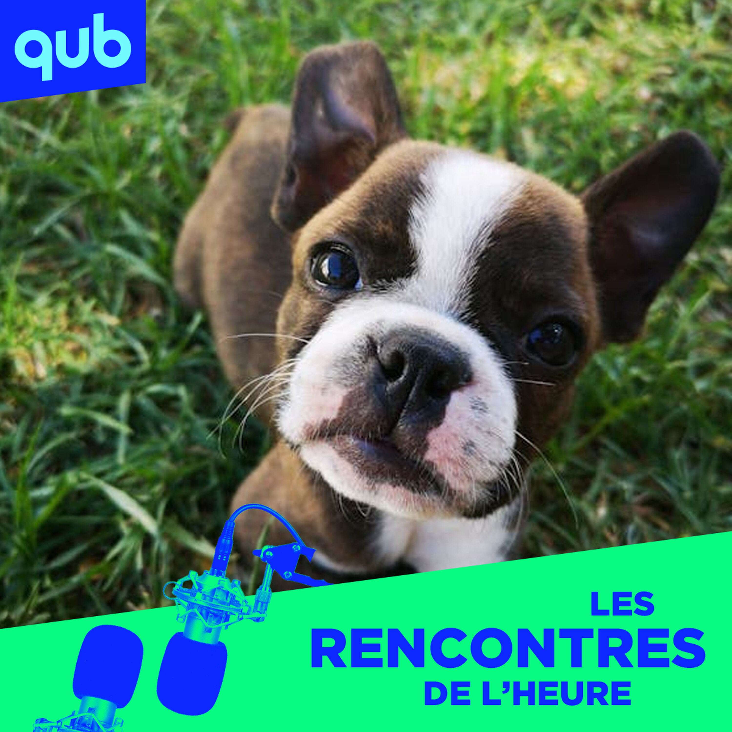 Propriétaires de chiens: «Ce sont eux, les illuminatis!»