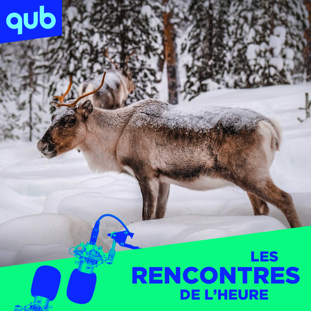 «Québec a vraiment l’air d’une maudite gang de zoufs!!» : affirmation douteuse de Benoit Charette…