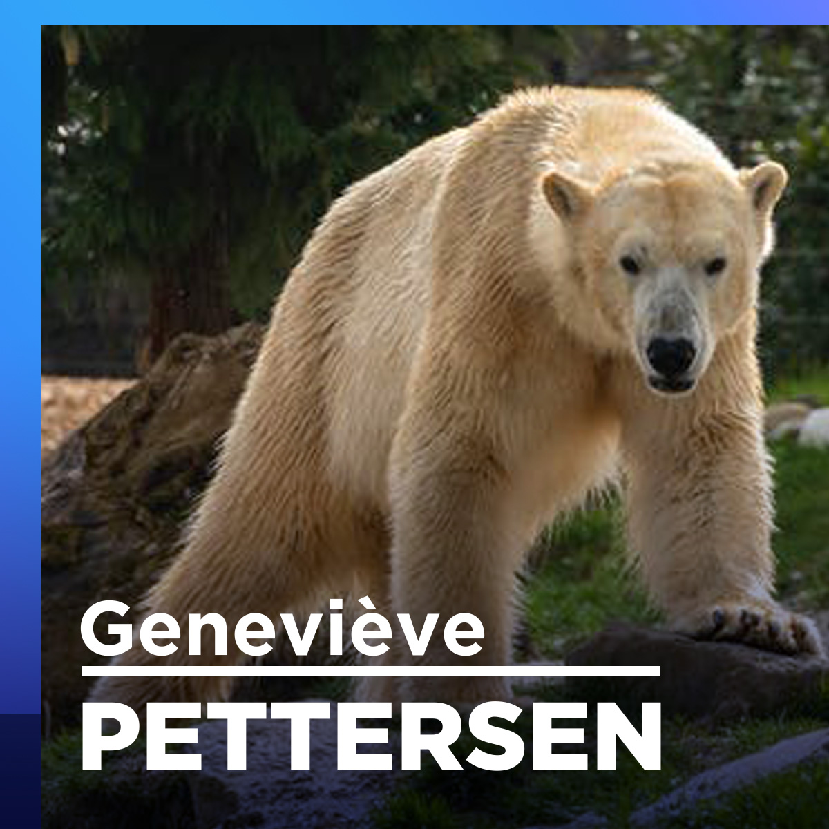 Geneviève Pettersen