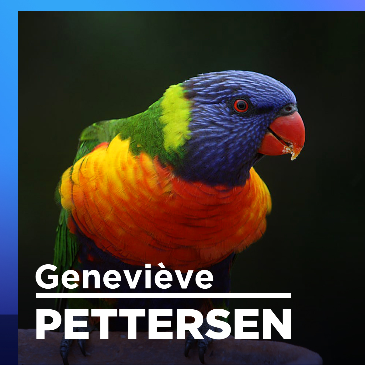 Oiseaux de compagnie : comment réagir aux accidents?