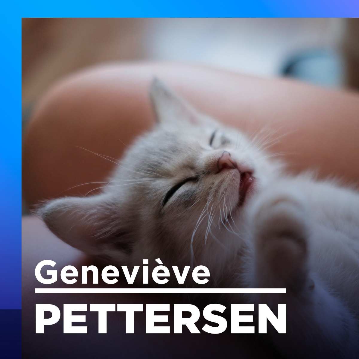 Choses à savoir avant d’adopter un chat.