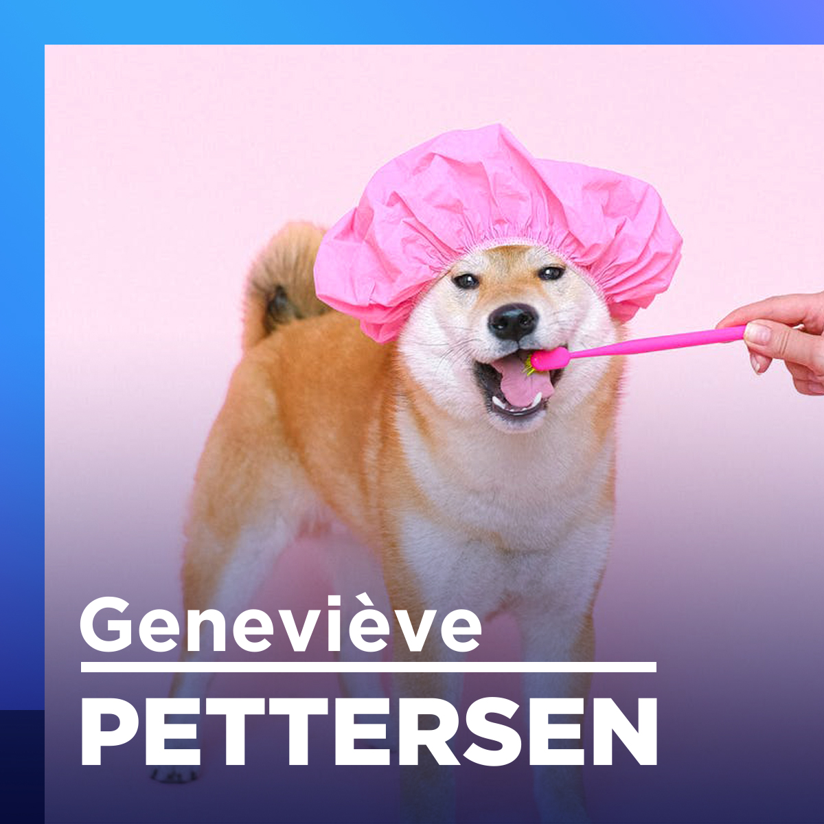 Pensions pour les animaux : une bonne chose?