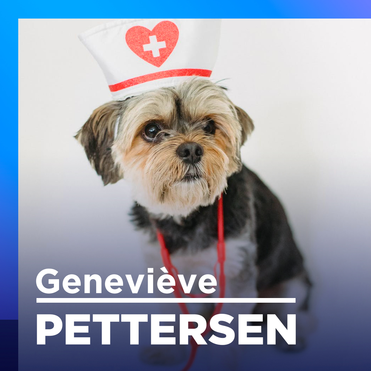 Attention à ce que vous donnez à manger à vos animaux ! Prévient Dre Hénault