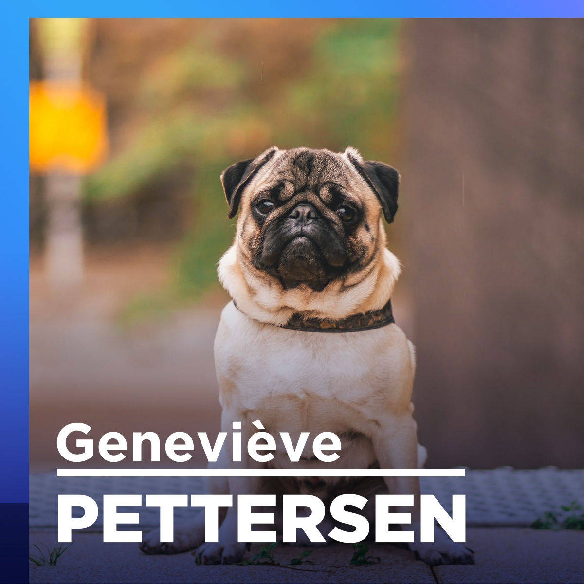 Six dangers à éviter pour vos animaux en cette période printanière