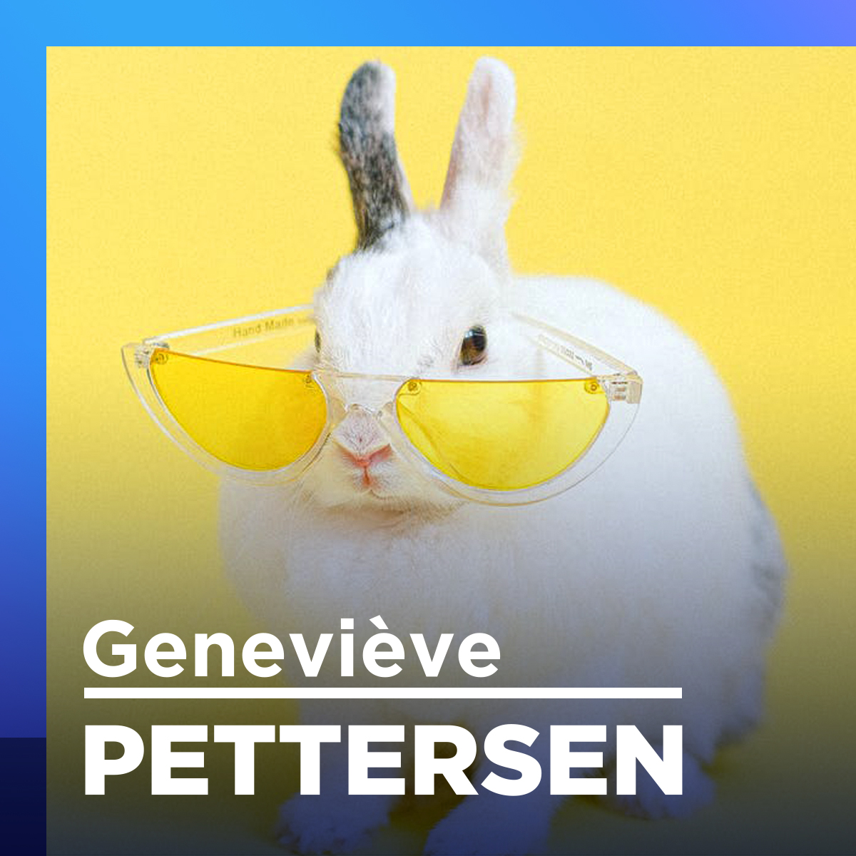 Engouement soudain pour les lapins!