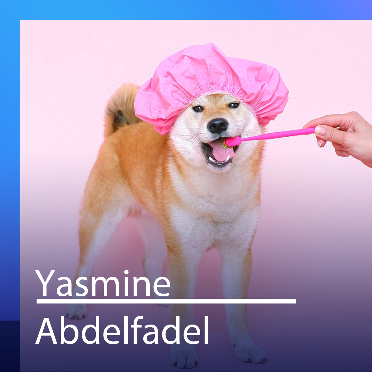 Les gens sont sur la défensive quand on parle du poids de leurs animaux, s’attriste la médecin vétérinaire Lucie Hénault