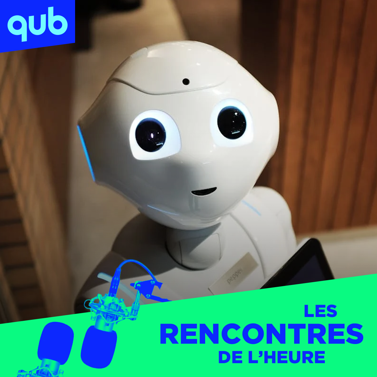 «La femme idéale est un robot!» episode artwork