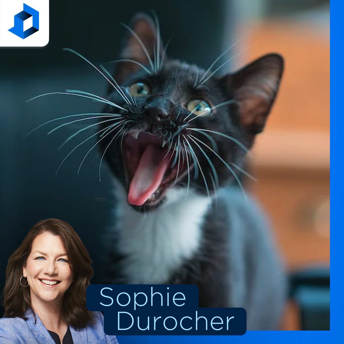 Le «trip à trois» est aussi courant que de posséder un chat, rapporte Anne-Marie Ménard