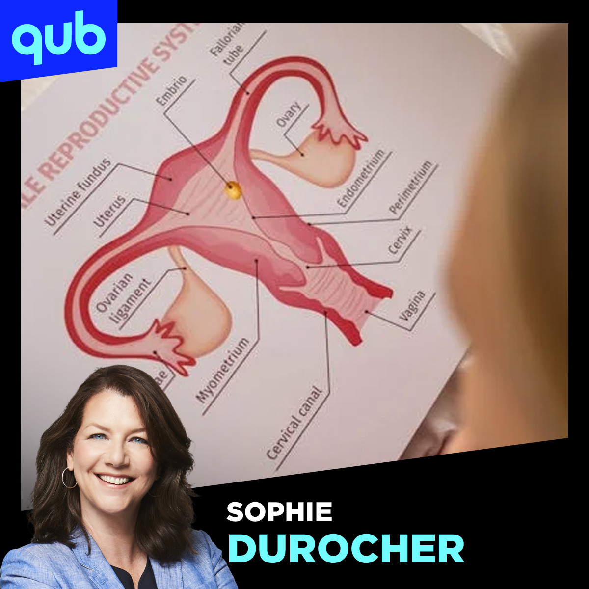 Les hormones bio-identiques «ont révolutionné ma vie», témoigne une professionnelle en sexologie