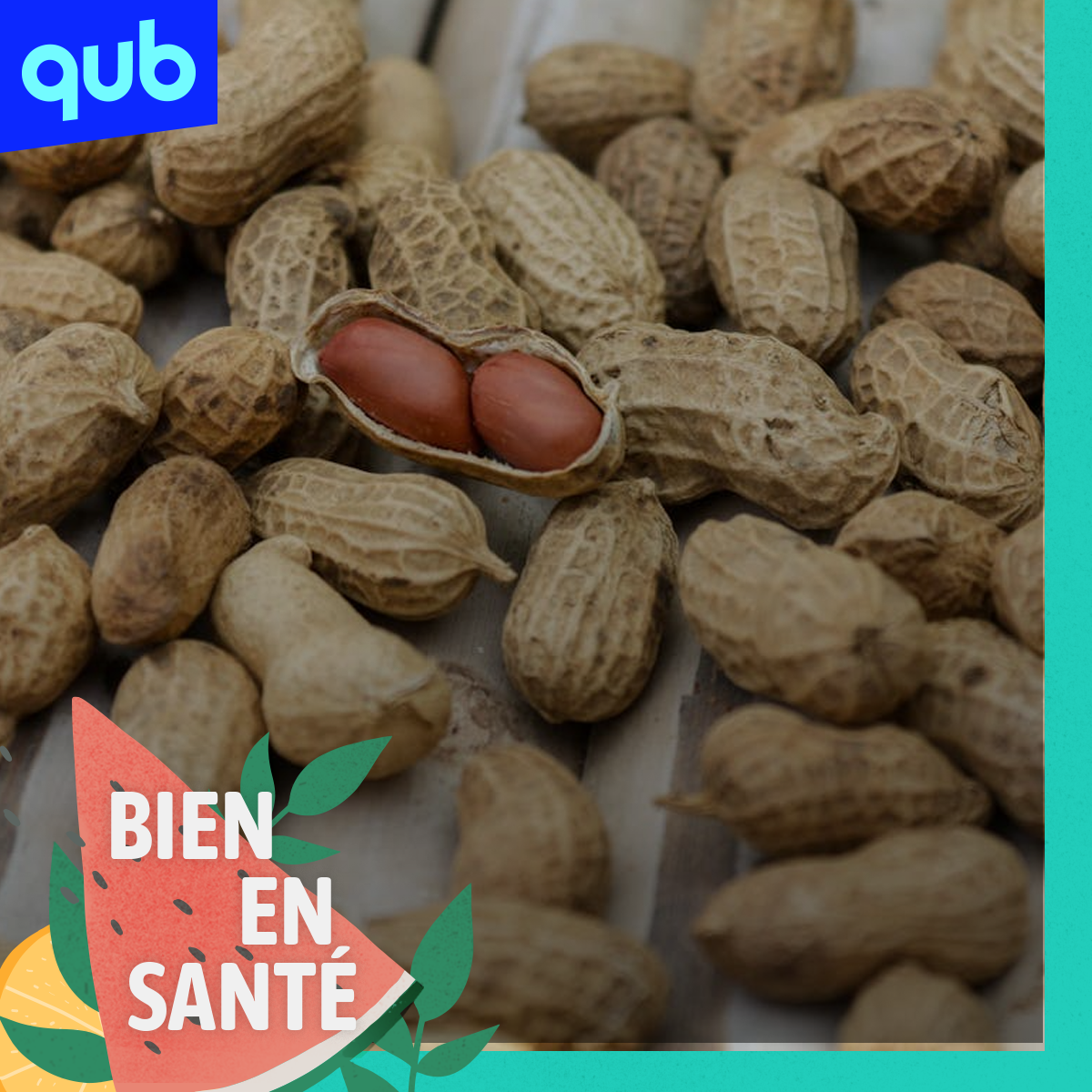L’allergie aux arachides peut être évitée… à vie! episode artwork