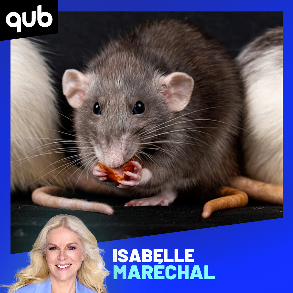 «Le meilleur animal de compagnie pour les 4-12 ans c’est… le rat!», assure Joanie Lamoureux episode artwork