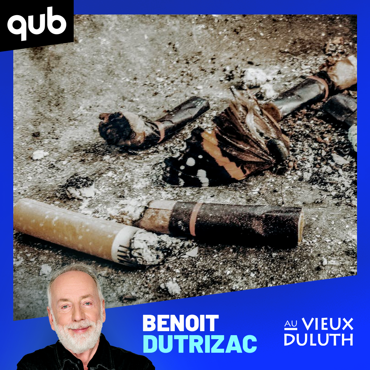 Jetez vos mégots!... c’est bon pour les oiseaux (à court terme)