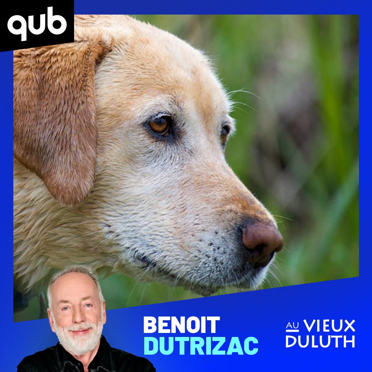 «C’est le seul au Québec»: ce chien renifle pour aider à retrouver… des cadavres!