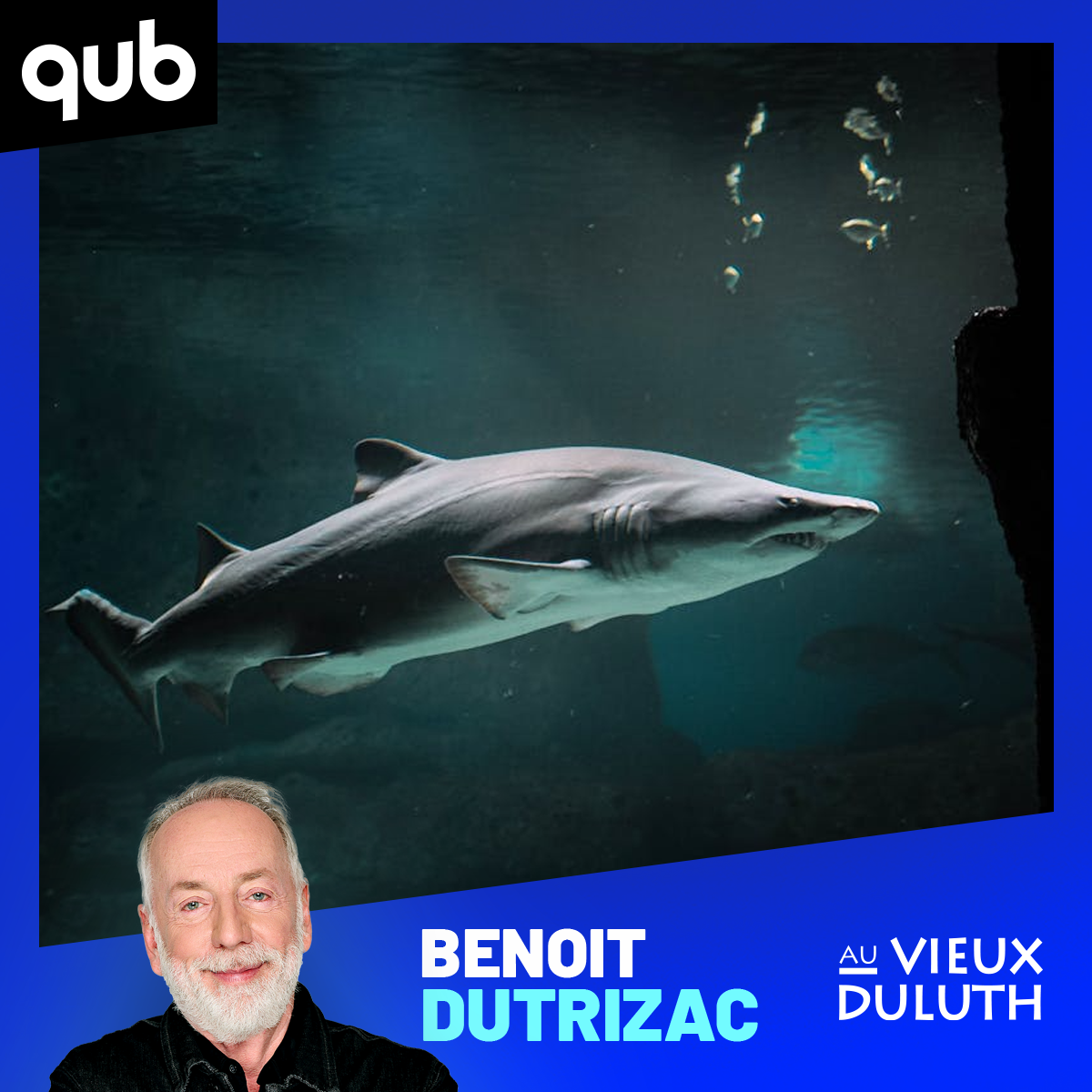 «Ils auraient mordu dans des paquets de coke»: des requins… cocaïnomanes?