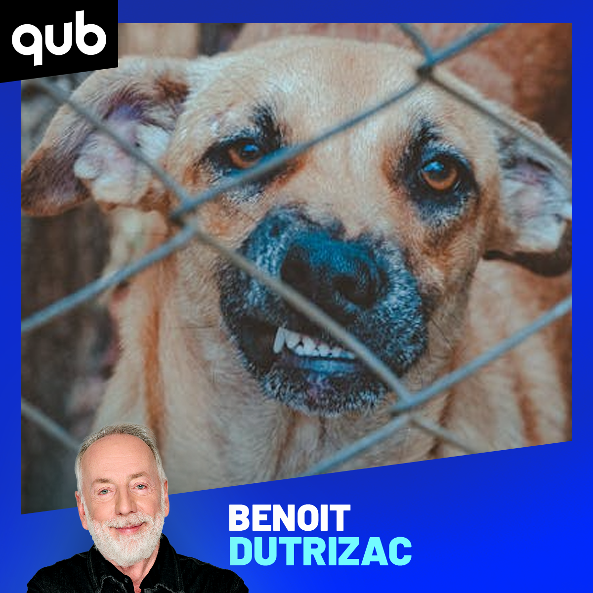 Déchaînés, incontrôlables - «Un coup de pelle dans le visage d’un des trois chiens assailleurs l’aurait calmé», explique Max Deland
