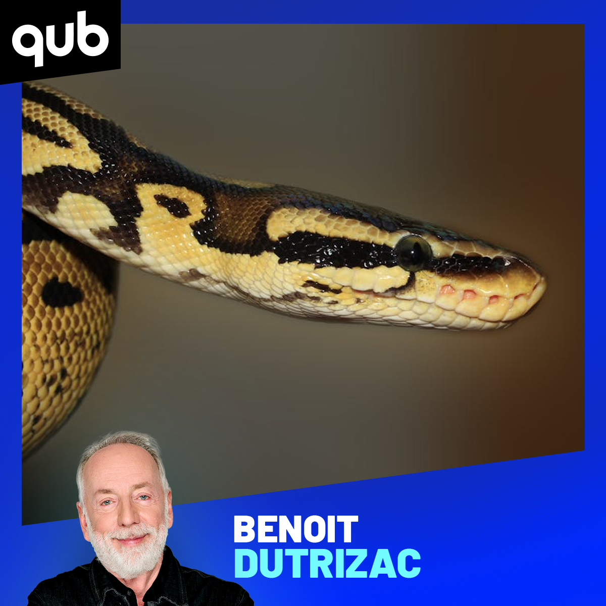 «Il se fait TRAÎNER par le serpent»: un chasseur de serpent a failli y passer…