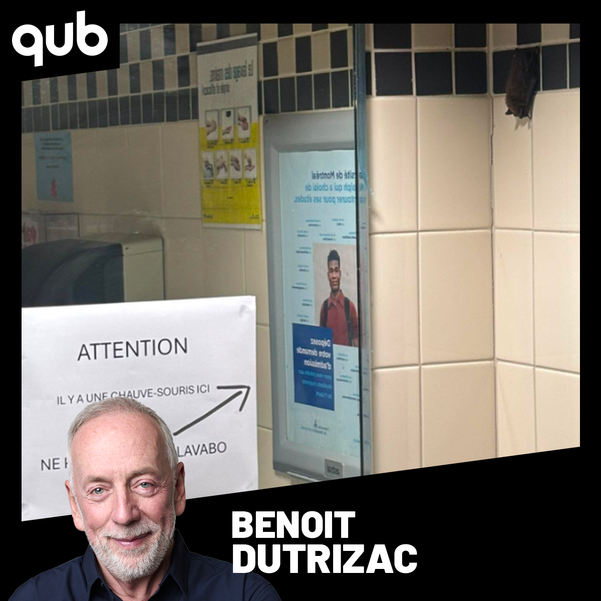 Chauve-souris dans un cégep: «La boss des toilettes!», dit Alex Moranville-Ouellet episode artwork