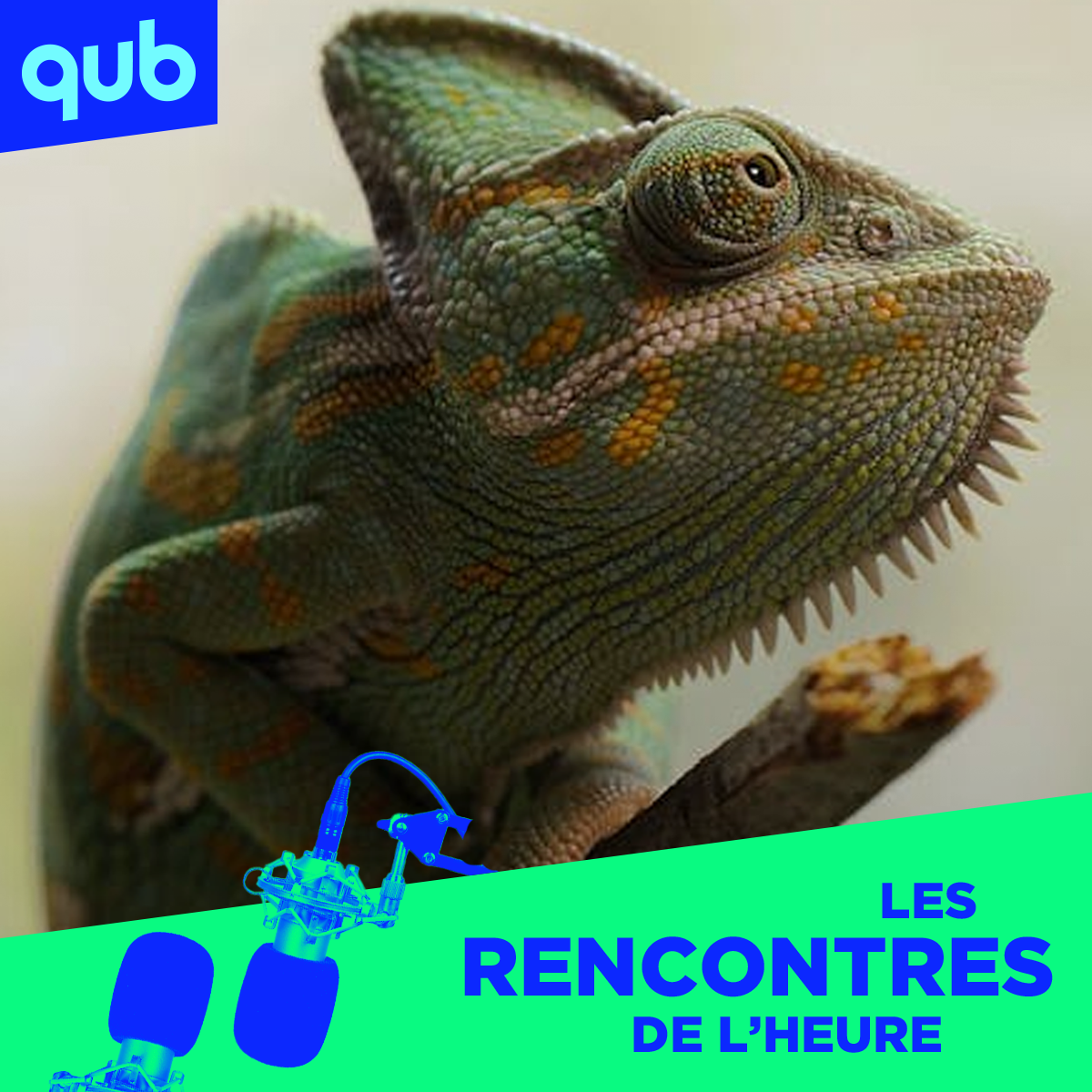 «Les libéraux sont des pique-assiette caméléons», lance Antoine Robitaille