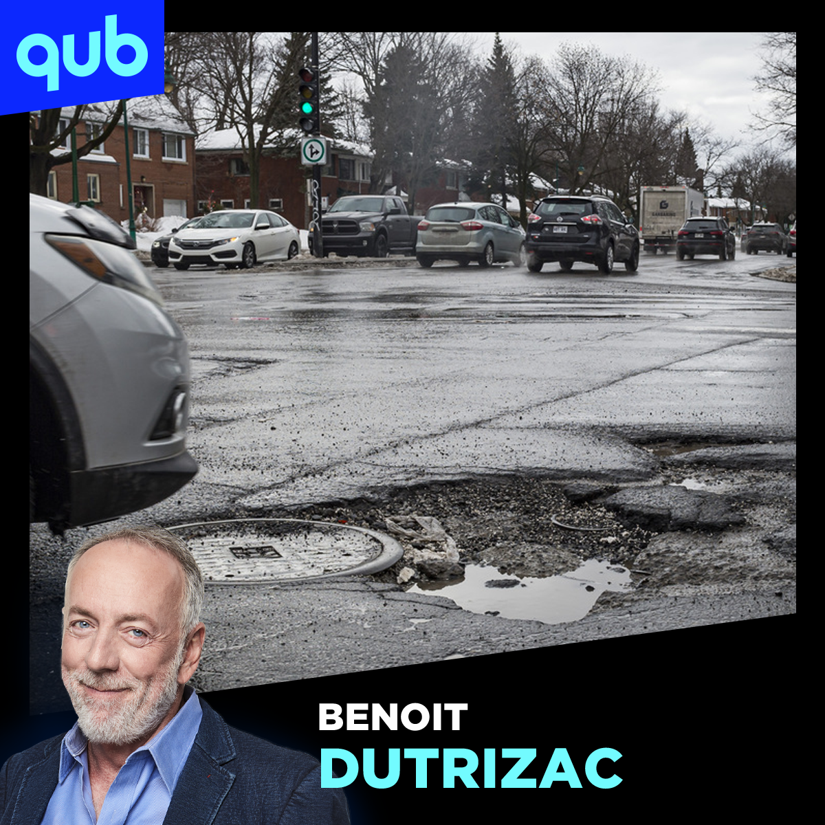 Nids d’autruches à Montréal: on veut vos témoignages!