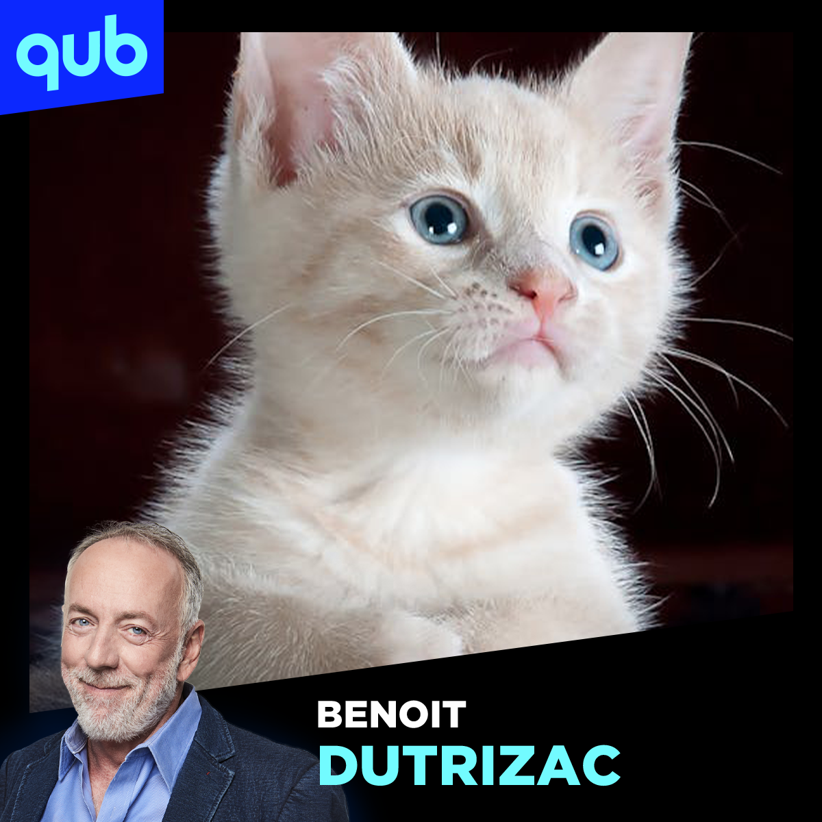 Attraper un veau au lasso: «ce sont des bébés!», s’insurge la porte-parole de Droit Animalier du Québec