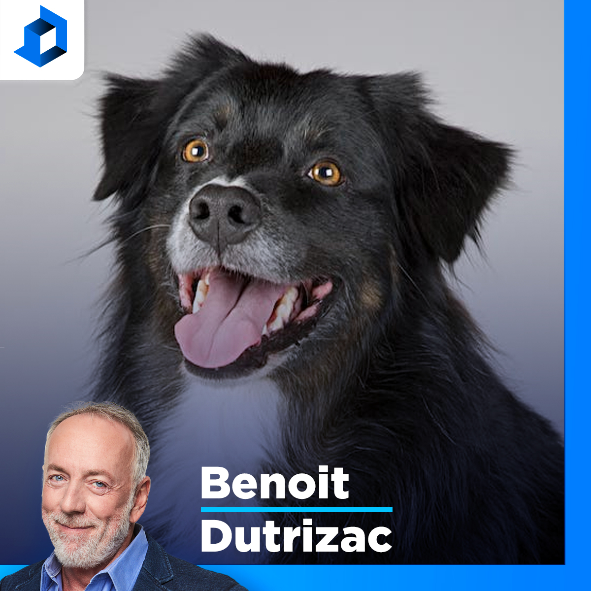 Aveugle : «Quand le taxi a vu le chien-guide, il a passé tout droit», explique René Binet