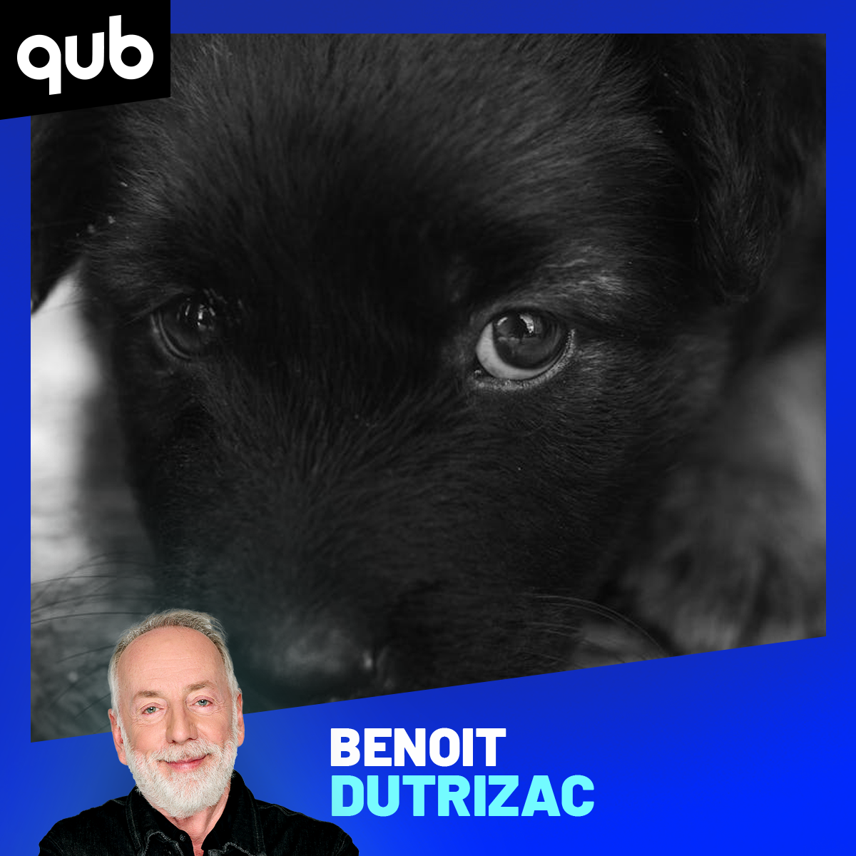 «Un chien, ce n’est pas un enfant!», martèle Benoit Dutrizac
