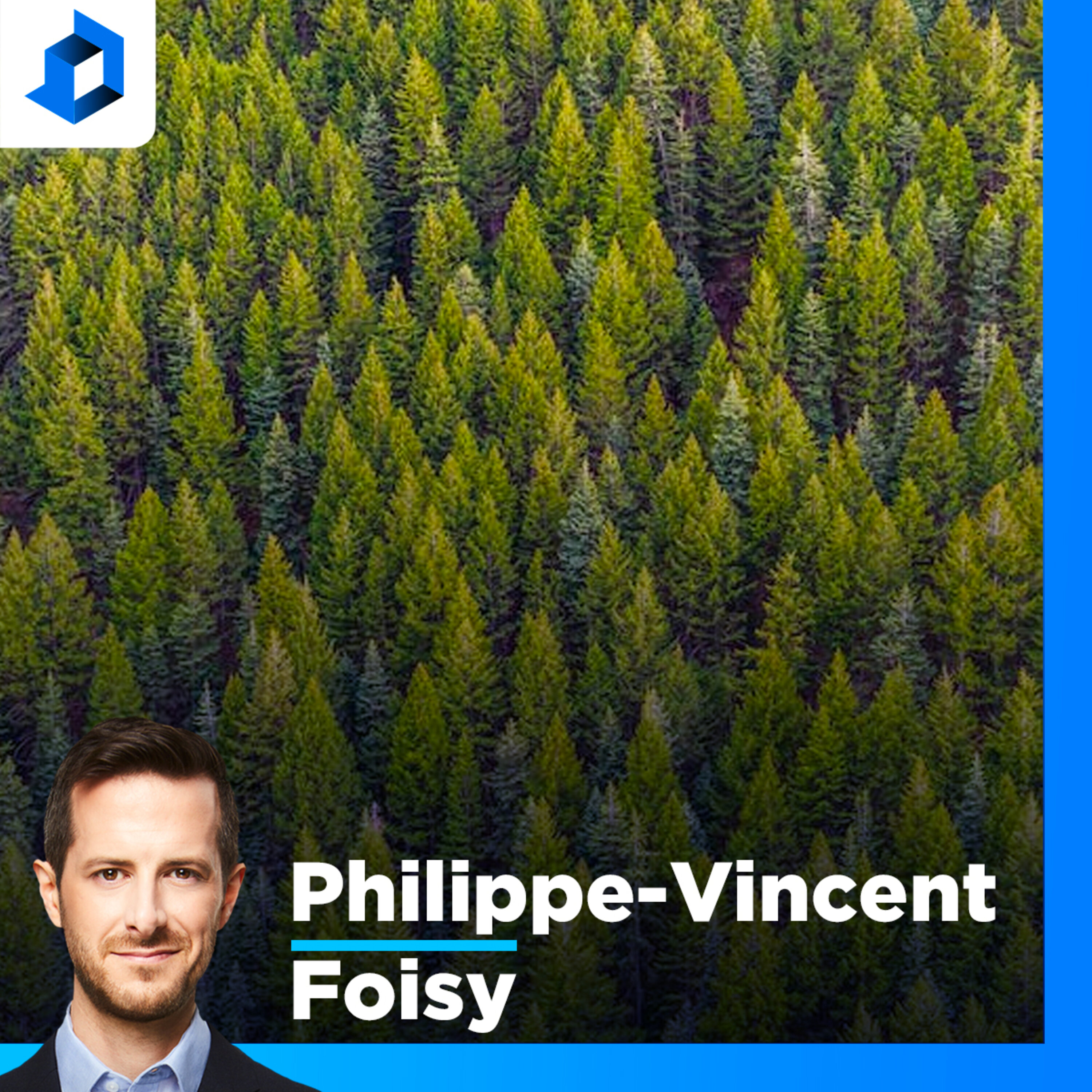 «Si on avait plus de feuillus dans nos forêts, on aurait moins de risque de feu», dit un professeur au département des sciences biologiques de l’UQAM