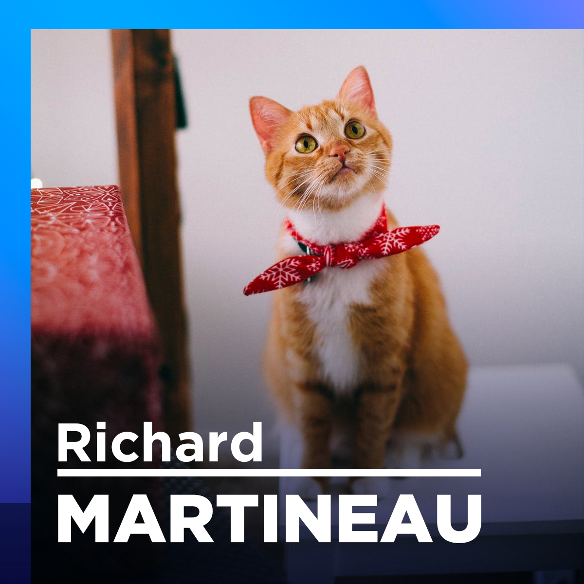 «Elle parle aux animaux» : une émission sur la communication animale