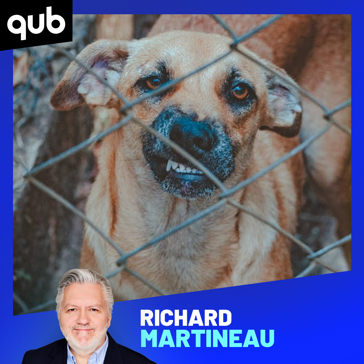 Attaques canines: «Le propriétaire le plus dangereux, c’est celui qui ne s’occupe pas de son chien», explique cette experte