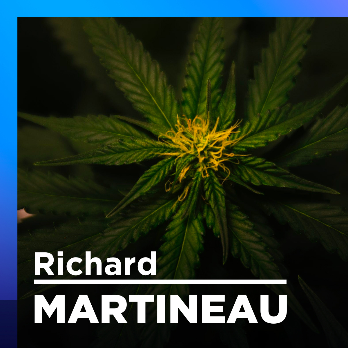 Cannabis : les Hells plus forts que la police ? Gilles Proulx indigné