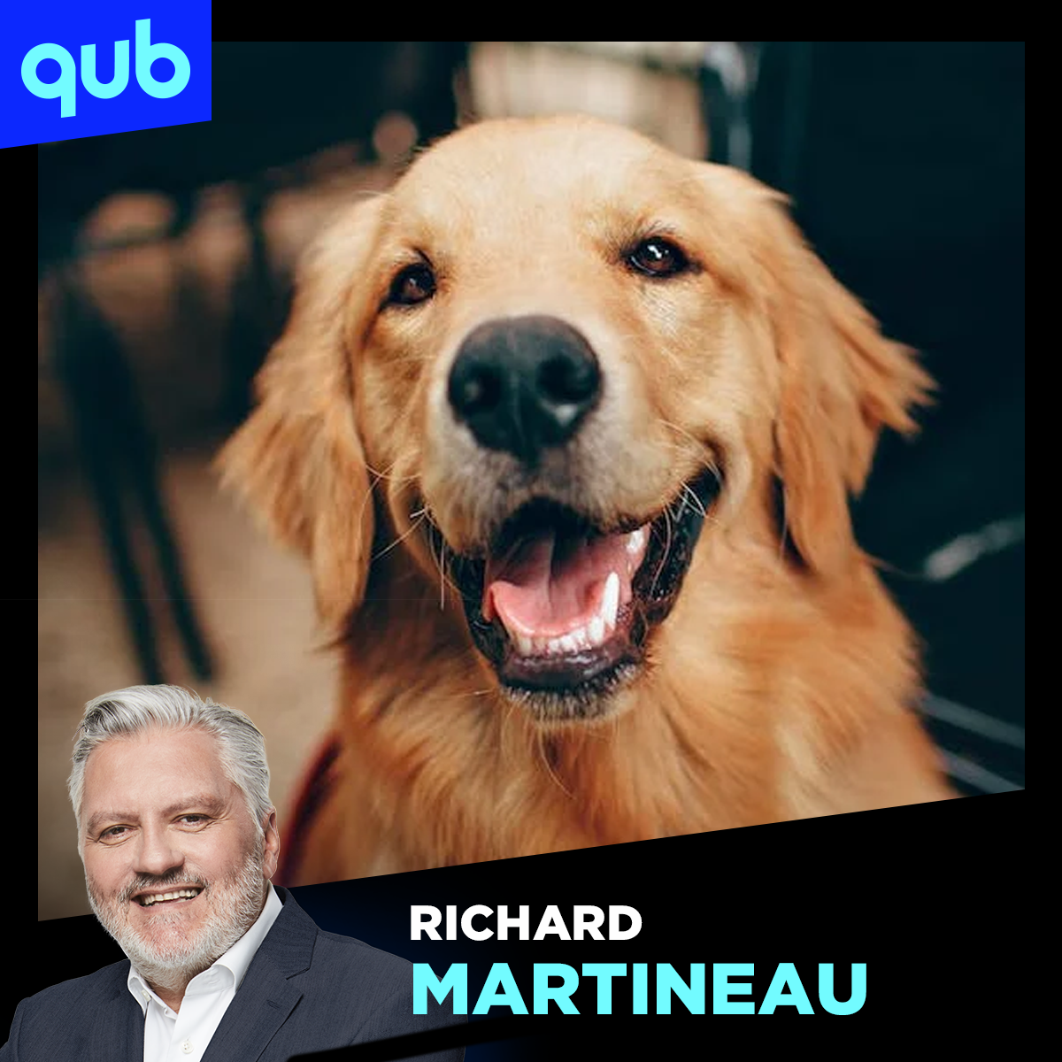 Les chiens pourront aller sur les terrasses cet été! 