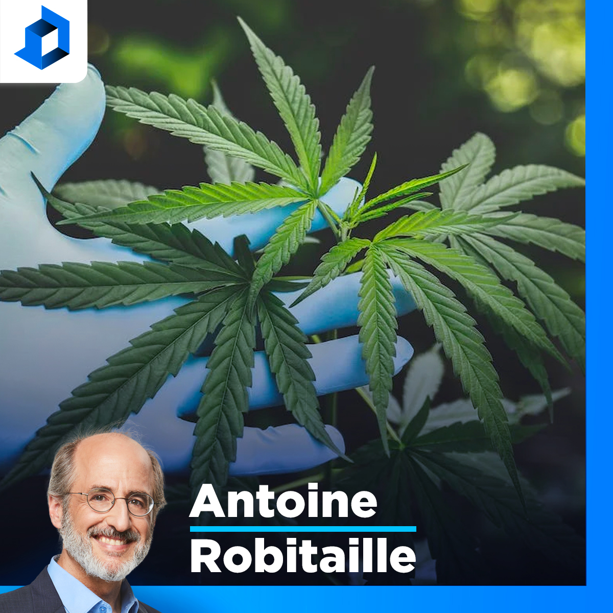 Le Prof Taillon décortique le jugement «pro-province» sur le cannabis episode artwork