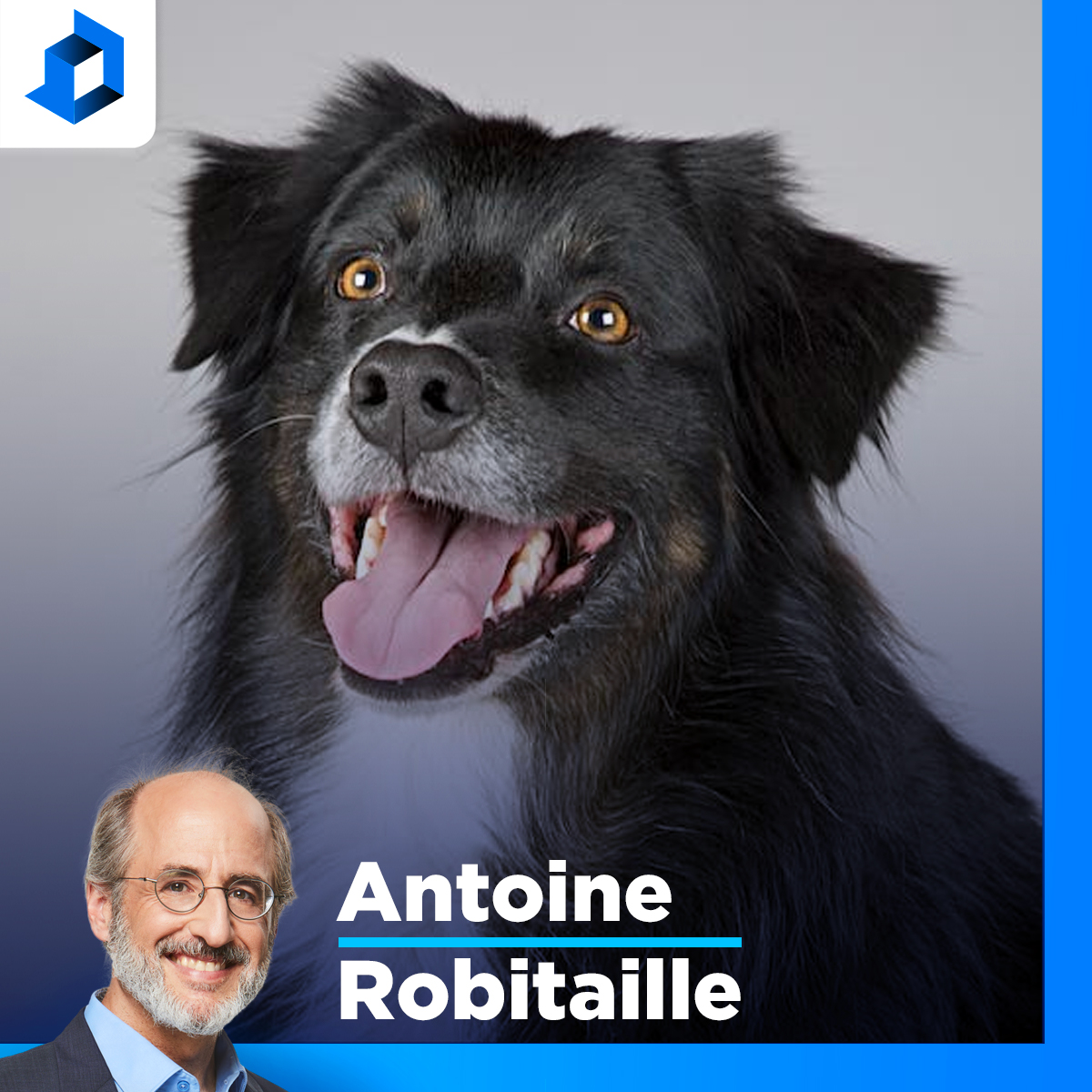 «À la base du bien-être animal, il y a le bien-être des humains», dit Audrey Bogemans episode artwork