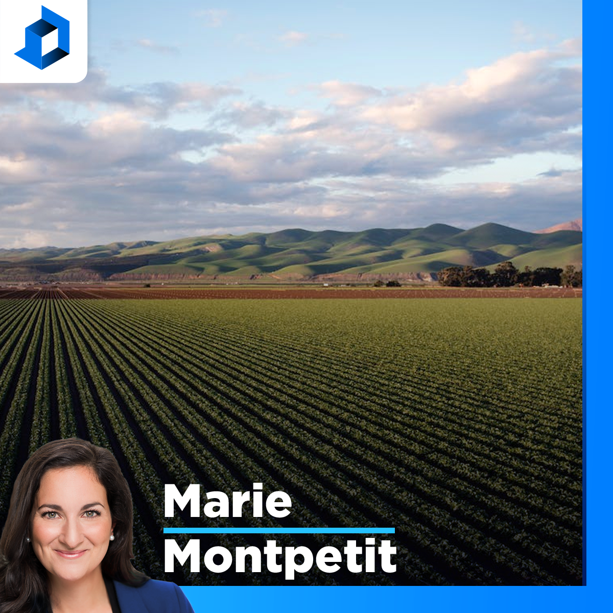 Agriculture : «Plus de 500 travailleurs qui ont quitté», s’inquiète le président général de l’Union des producteurs agricoles episode artwork