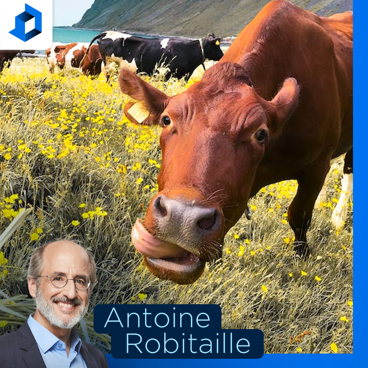 Construction : le gouvernement s’attaque à des vaches sacrées, explique Geneviève Lajoie episode artwork