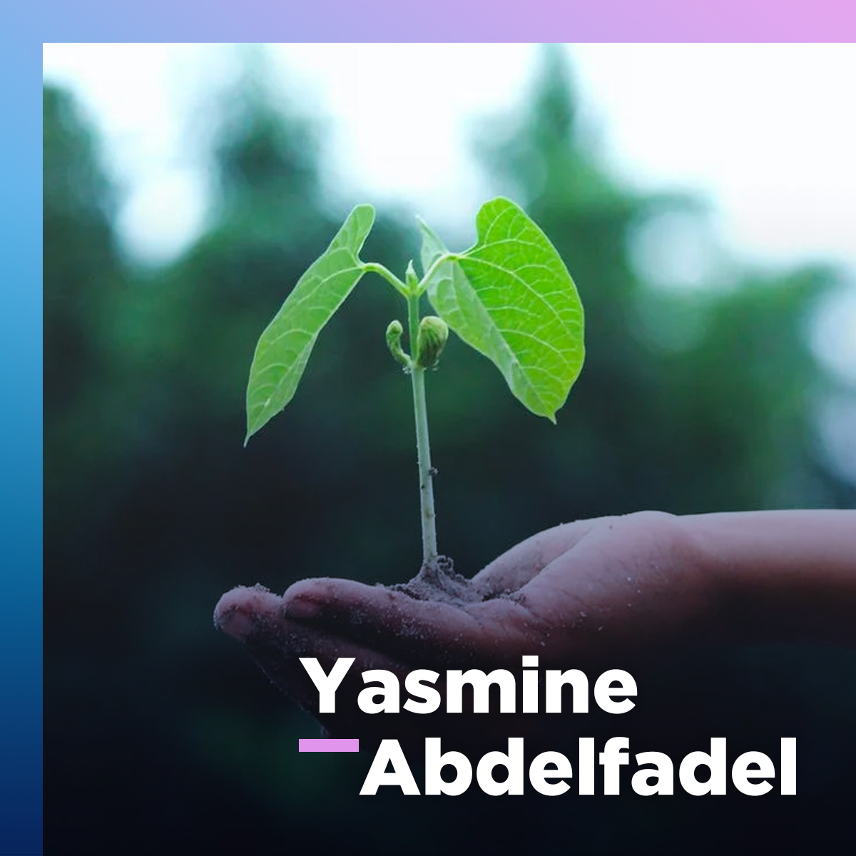 Espace Maude : une jeune entrepreneure de 13 ans a transformé sa passion pour les plantes en entreprise