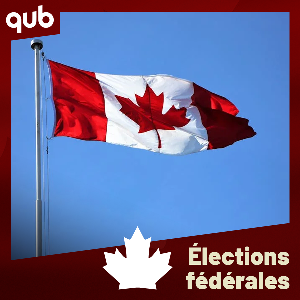Élections fédérales