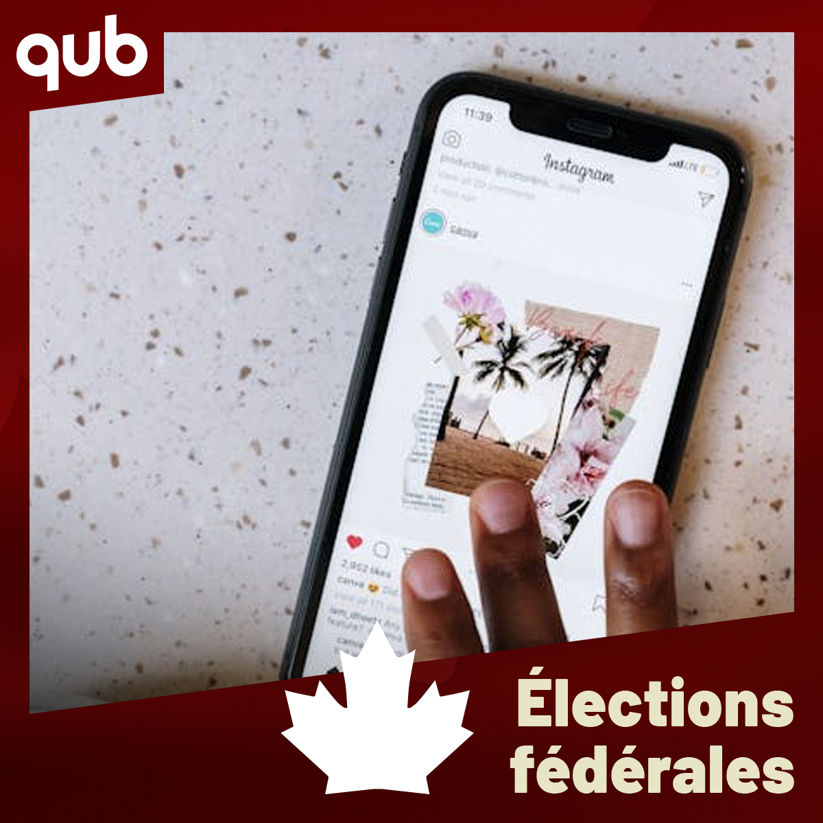 Élections fédérales