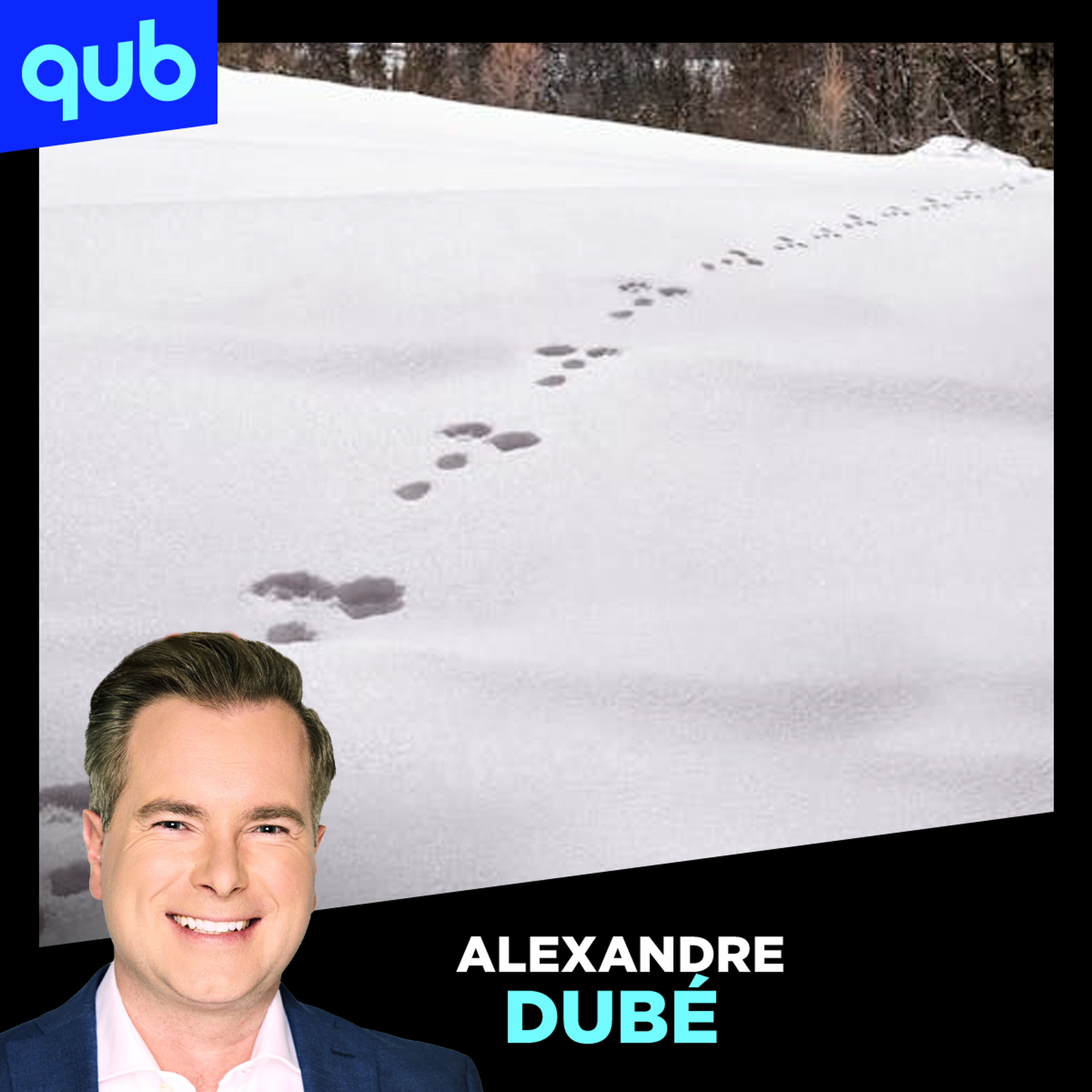 Règles sur les buttes de neige: «On a peur de se faire poursuivre à ce point-là…», déplore le président de la FQDE Règles sur les buttes de neige: «On a peur de se faire poursuivre à ce point-là…», déplore le président de la FQDE