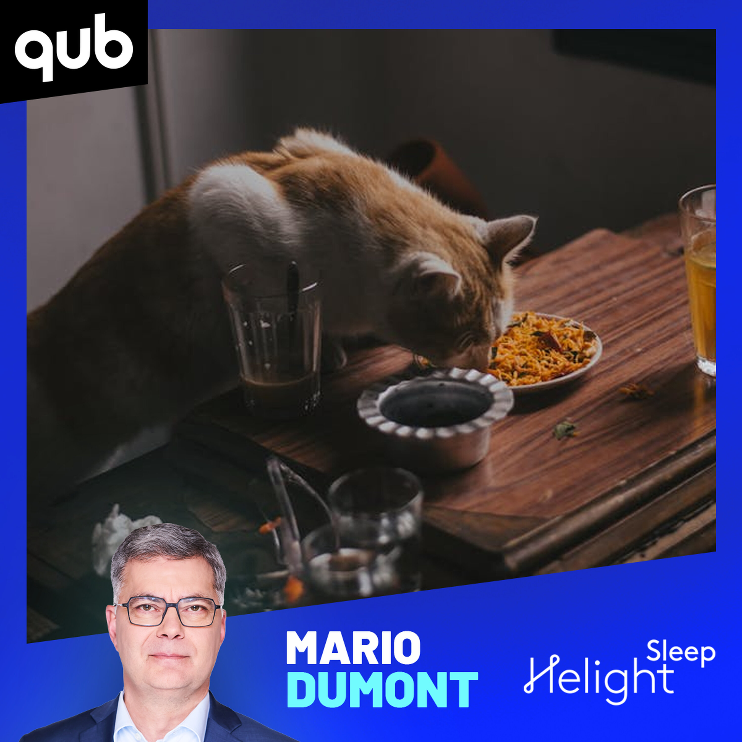 «Ça pourrait aider plusieurs familles»: vers la fin de la TVQ sur la nourriture pour animaux? «Ça pourrait aider plusieurs familles»: vers la fin de la TVQ sur la nourriture pour animaux?