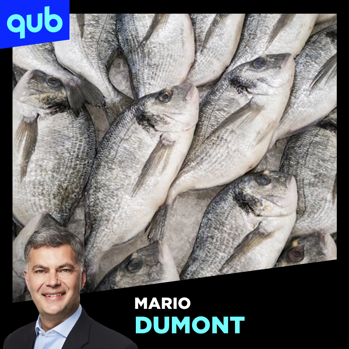 Accident d’un camion : 77 000 saumons s’en sortent contre toute attente