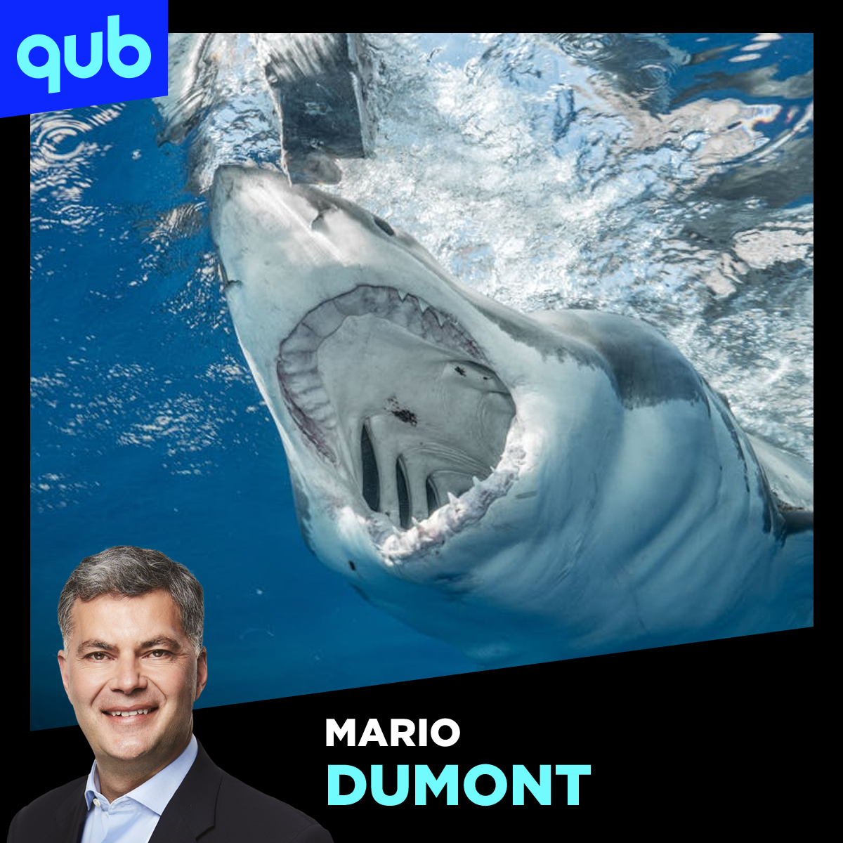 «Je l’ai vargé dans le côté»: le conjoint de la femme attaquée par un requin raconte son histoire