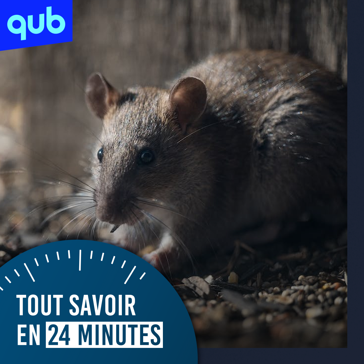 Insalubrité en CHSLD : «C’est dégueulasse», s’attriste Mario Dumont