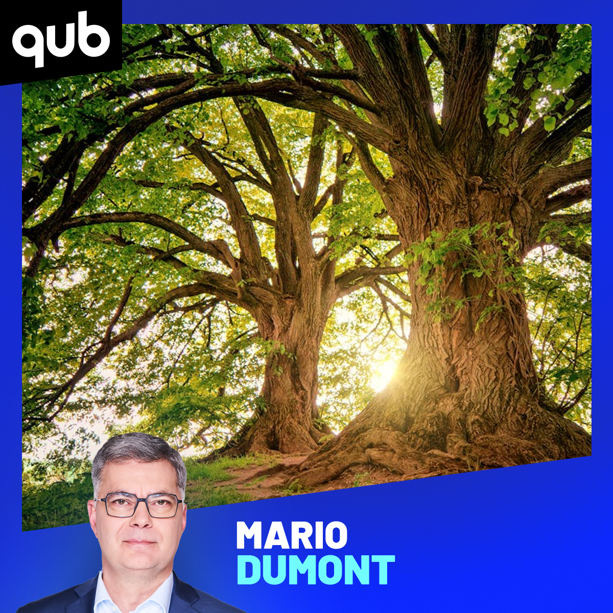 Les arbres de Trudeau en copeaux: «Ça aurait dû être sur des terrains publics», déplore Pierre Lemieux episode artwork