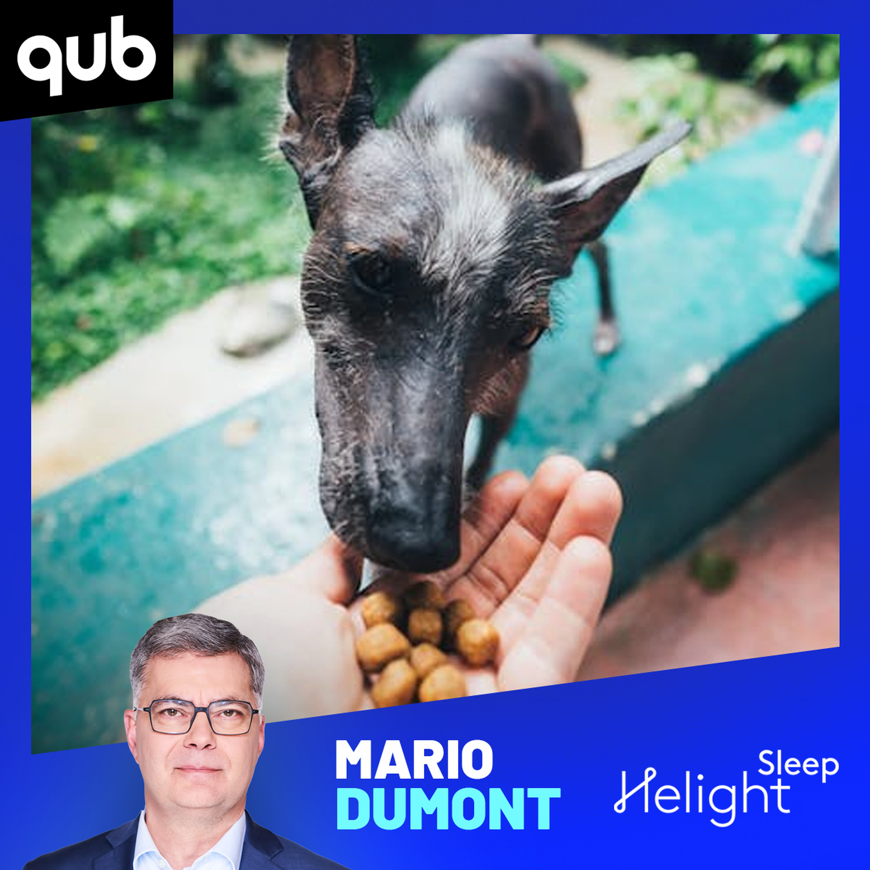 «Mon chien m’a coûté environ 12 000 dollars!», témoigne une auditrice «Mon chien m’a coûté environ 12 000 dollars!», témoigne une auditrice