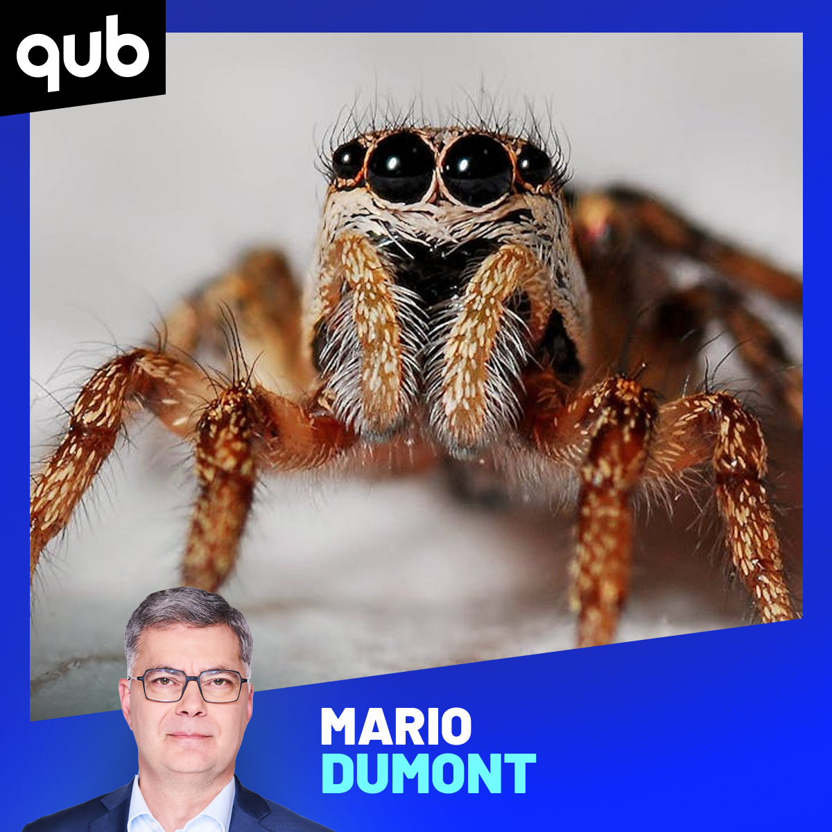 Mario Dumont