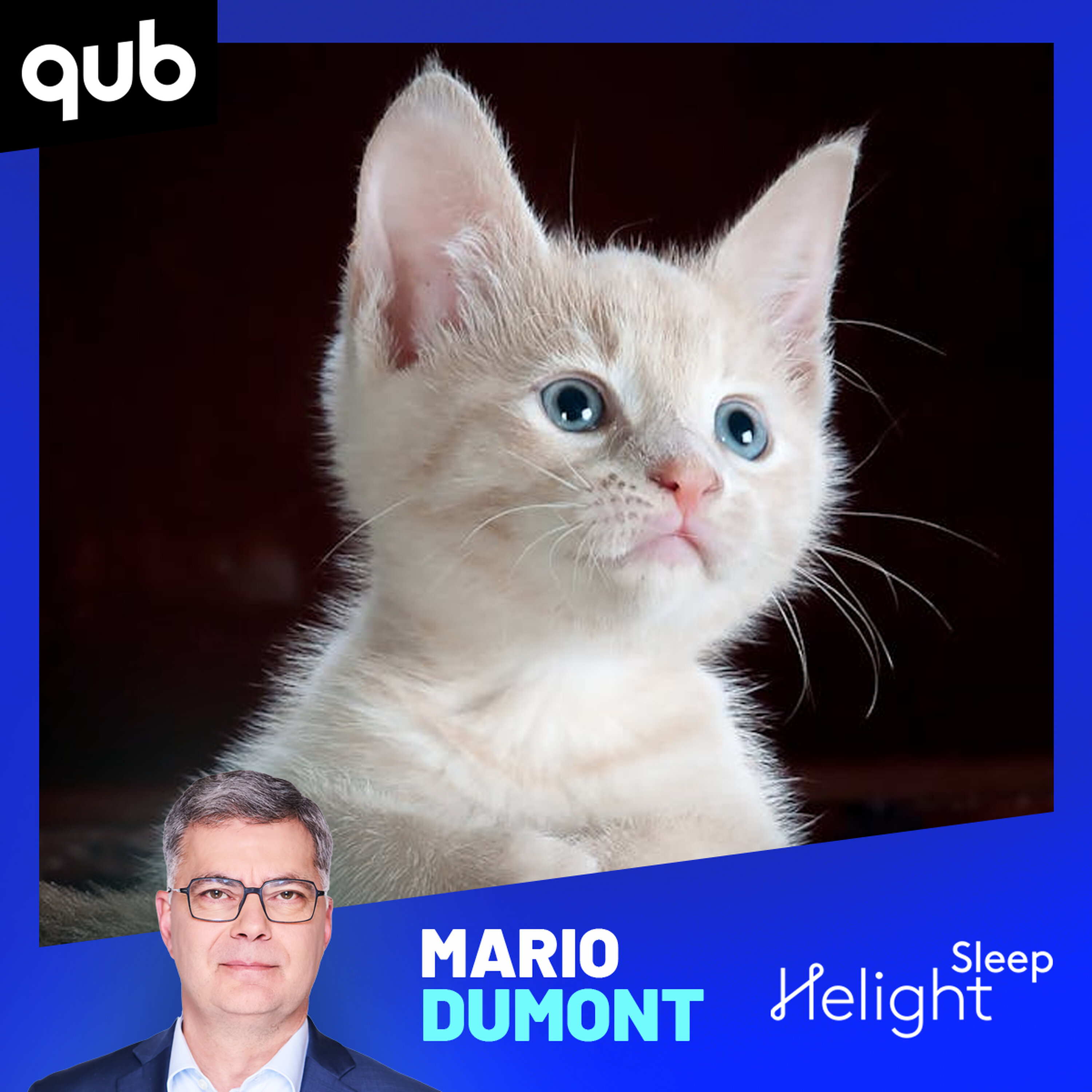 Les chats domestiqués… c’est plus récent qu’on pensait! Les chats domestiqués… c’est plus récent qu’on pensait!