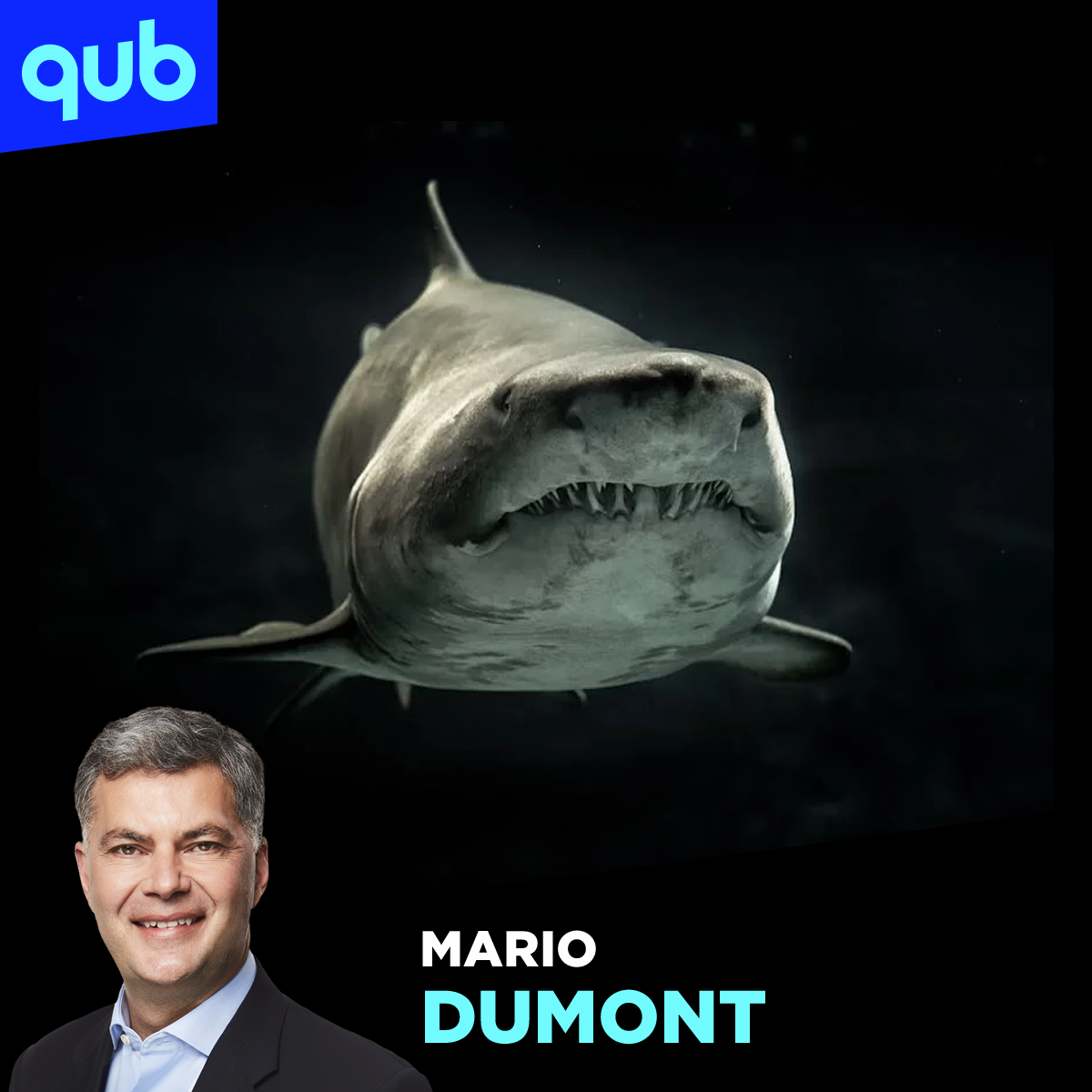 Ses mains arrachées à cause d’un requin: la femme ne tentait PAS de prendre d’égoportrait!