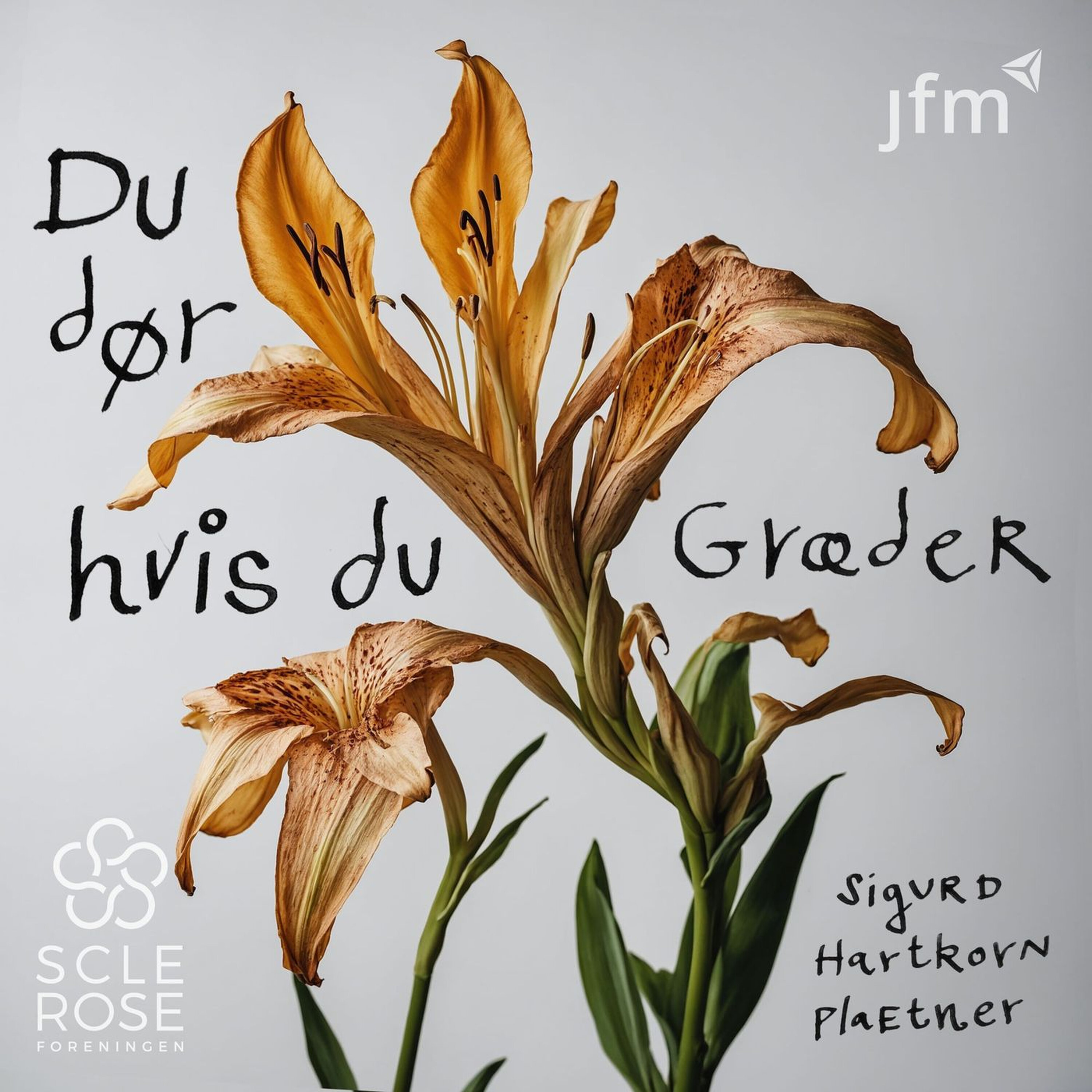 Artwork for Du dør hvis du græder